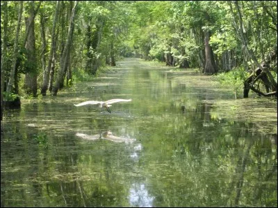 Parmi les quatre propositions ci-dessous, qu'auriez-vous le plus de mal à supporter ?