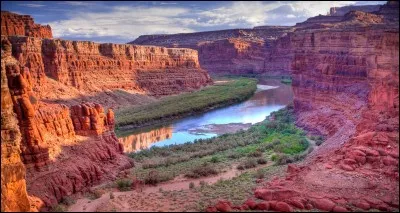 Parmi ces animaux, lequel trouvez-vous le plus fascinant ?