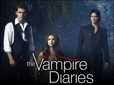 Qui a transformé Stefan et Damon ?