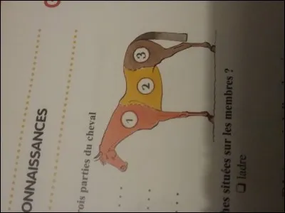 À quelle partie correspond le numéro 1 ?