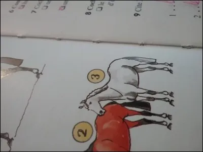 À quelle robe correspond le numéro 3 ?