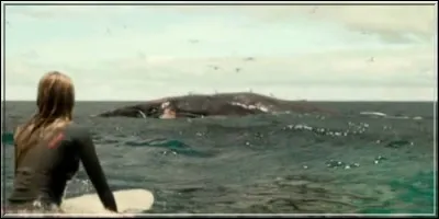 Au loin, se trouve une carcasse :