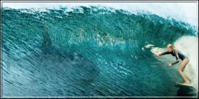 Quelle espèce de requin la happe alors qu'elle est sur le point de retourner sur la plage ?