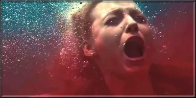 Où a-t-elle été mordue ?