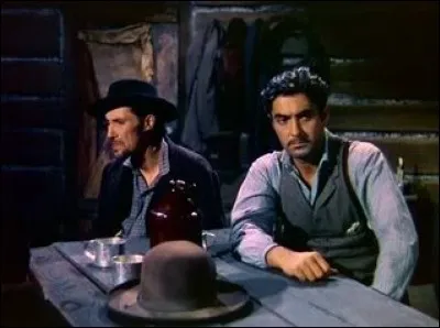 Il est le "brigand bien aimé" dans ce western de 1939, avec Tyrone Power et Henri Fonda, qui idéalise ce hors-la-loi du Far west. De qui s'agit-il ?