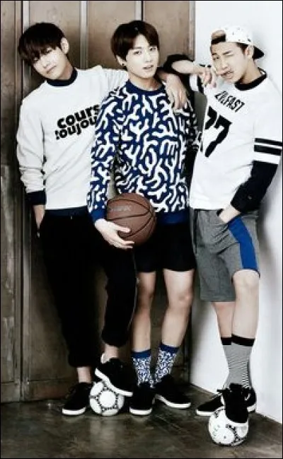 En quelle année le groupe a-t-il débuté ?