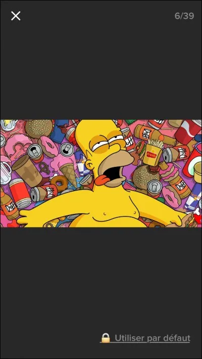 Dans quelle s&eacute;rie appara&icirc;t le personnage Homer Simpson ?