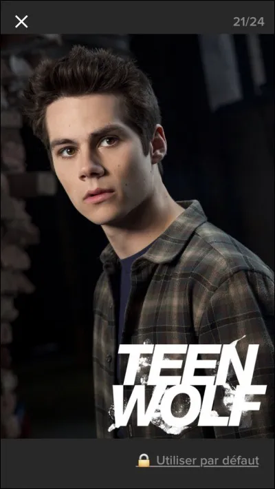 Qui est-ce ? (s&eacute;rie : "Teen Wolf")