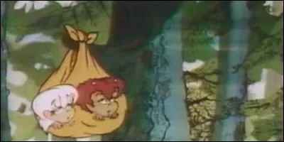 Quel animal accompagne Ty et Uan dans "Le Voyage fantastique de Ty et Uan" ?