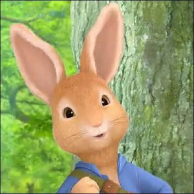 Quel est le titre de ce dessin animé ?