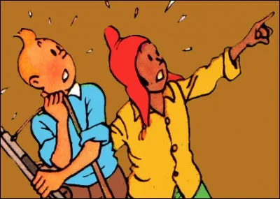 Zorrino rencontre Tintin et le capitaine Haddock dans l'album :