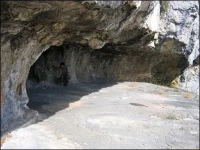 Si je vous dis : « Comme l'anguille, il est parfois sous roche », vous répondez :