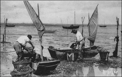 Si je vous dis : « Chaland à fond plat », vous répondez :