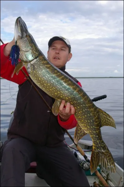 Astuce 2 : L'envie vous prend de pêcher le brochet, mais quelle technique utiliser ?