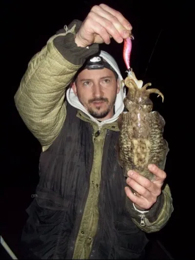 Astuce 4. Port-Vendres vous a plu, vous y revenez pour pêcher la seiche, c'est la bonne saison !