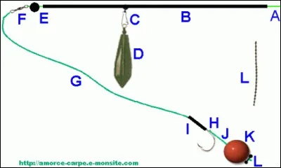 Astuce 6. Ce ne sont pas les plans d'eau, rivières, lacs et fleuves qui manquent, en France, profitez-en pour aller pêcher la carpe ...