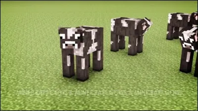 Qui suis-je (regardez l'image) ?