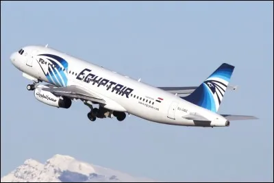 Si tu travaillais dans un aéroport, quel métier ferais-tu ?