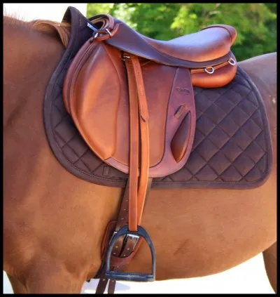 Sur quoi nous asseyons-nous; c'est un accessoire qui se pose sur le dos du cheval pour monter ?