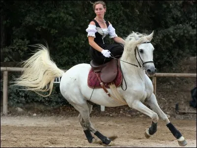 Combien d'allures a le cheval ?