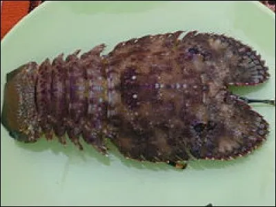 Qu'est-ce qu'une popinée ?