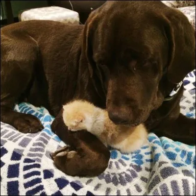 Ineffable, qu'on ne peut exprimer !