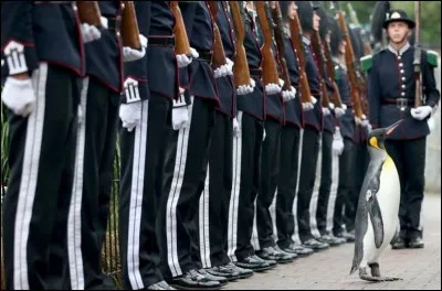 Glucide voisin de l'amidon, soluble dans l'eau, insoluble dans l'alcool !