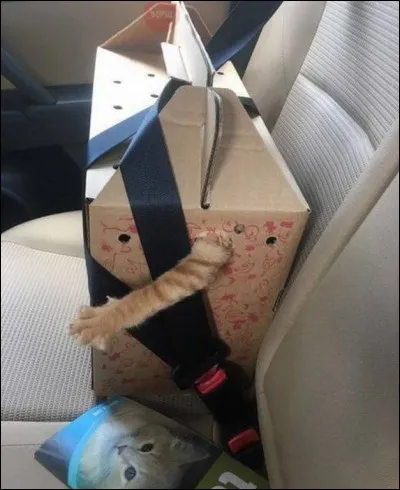 Ecart de conduite, extravagance !