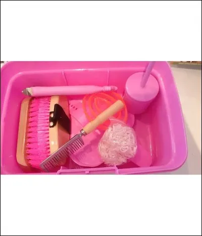 Comment s'appelle la brosse qui enlève la poussière ?