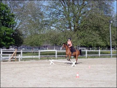 Comment appelle-t-on les sauts qui ne sont pas très hauts ?