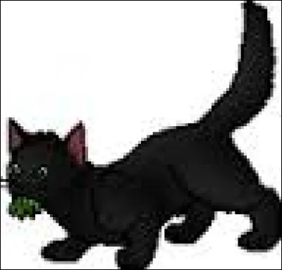 Qui est le personnage représenté ?