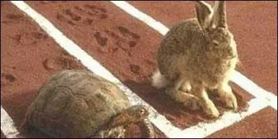 Quel animal terrestre est le plus rapide au monde ?