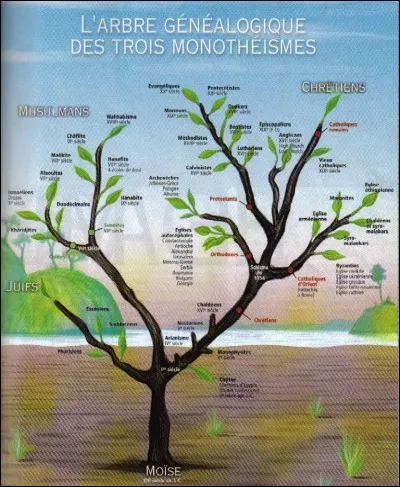 Pourquoi le christianisme s'est réparti en deux religions différentes ?