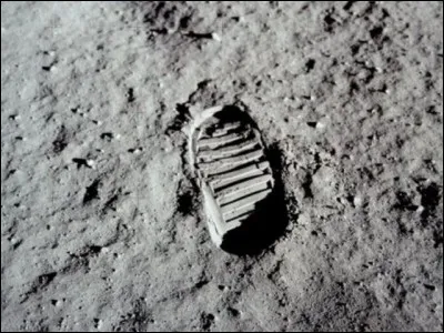 L'image représente :