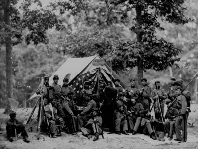 L'image représente :