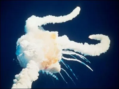 L'image représente :