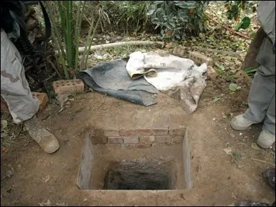 L'image représente :