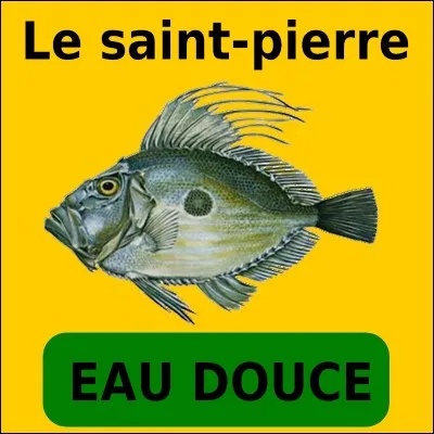 Quelle est la bonne réponse ?