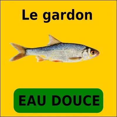 Quelle est la bonne réponse ?