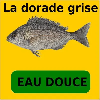 Quelle est la bonne réponse ?