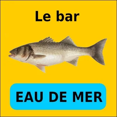 Quelle est la bonne réponse ?