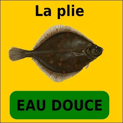 Quelle est la bonne réponse ?