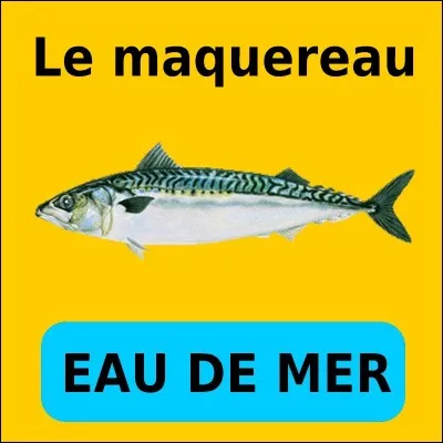 Quelle est la bonne réponse ?