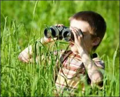 Sur quelle image ne voit-on pas un calao ?