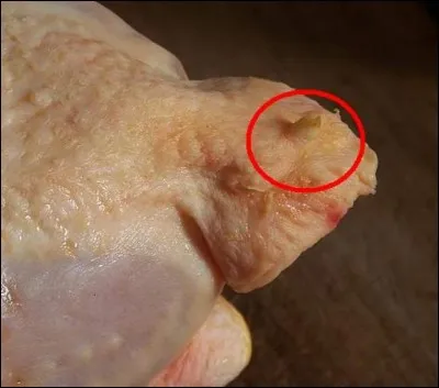 Comment nomme-t-on familièrement cette partie du poulet ?