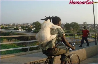 Réplique 3 : Dis bonjour Michel, dis bonjour à madame l'assistante sociale ! - Voyez madame, on n'est pas là pour rien hein !