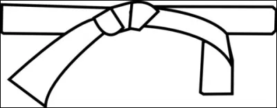 Quel est l'ordre des ceintures de judo ?