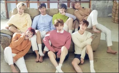 Lequel de ces noms est celui d'un clip K-pop ?