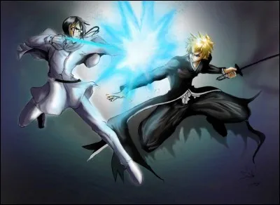 Qui sont les personnages qui sont en train de se battre ?