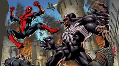 Qui sont les personnages qui sont en train de se battre ?